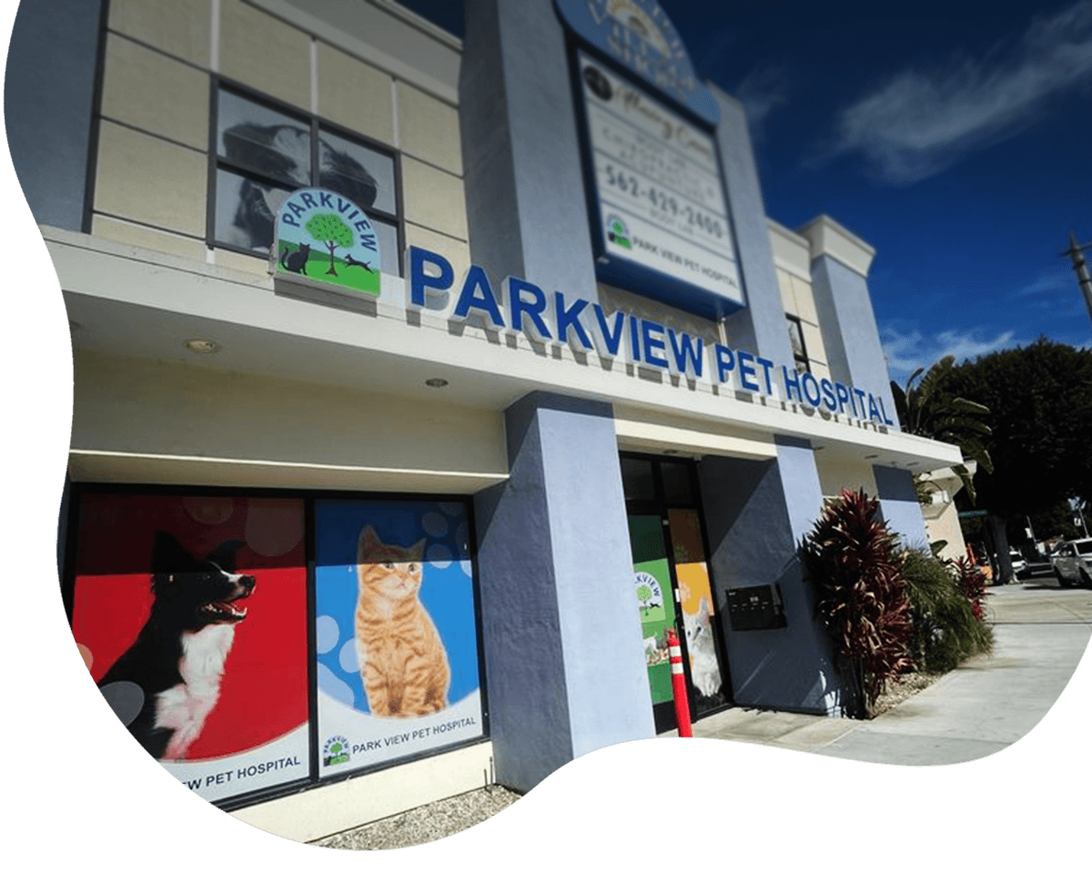 parkview pet hospital facade