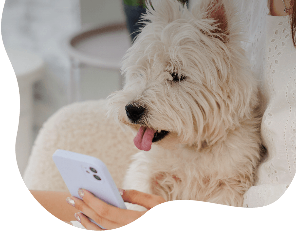 white furry-dog with his owner