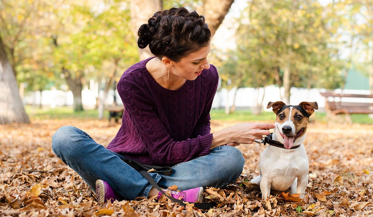 How to Keep Your Pets Safe This Fall in Long Beach