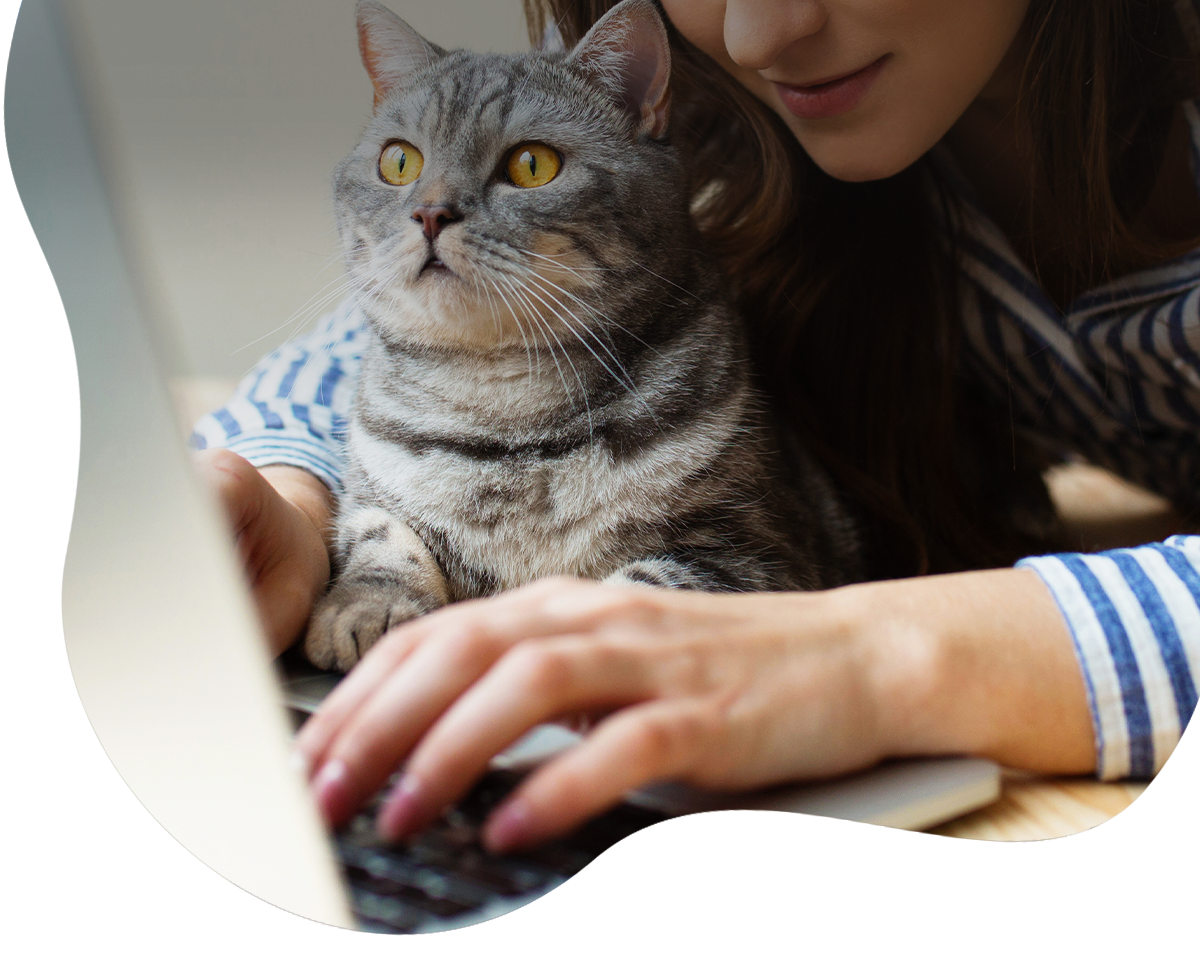 girl her cat looking laptop computer
