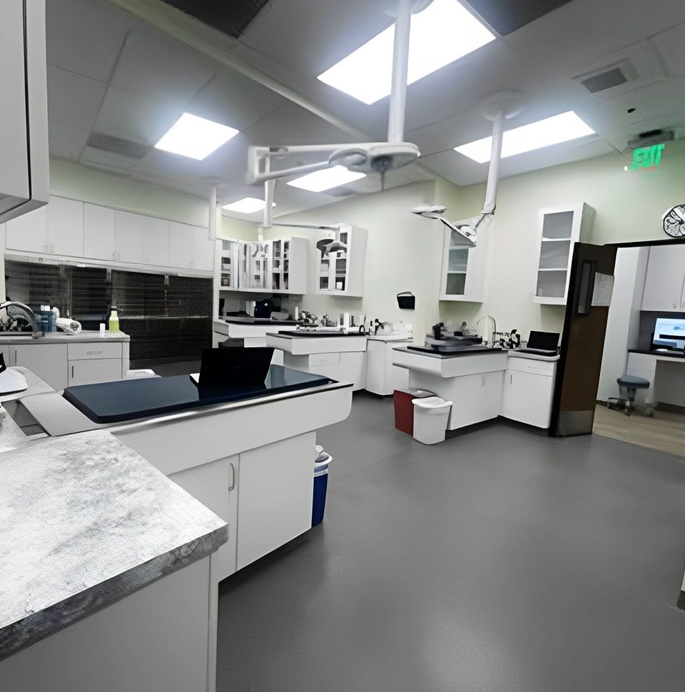 parkview pet hospital wellness room