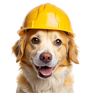 dog wearing yellow hard hat