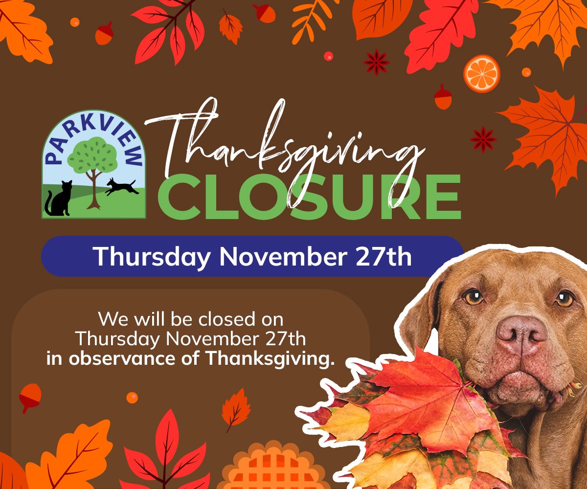 Notice: Parkview Hospital will be closed on September 21, 2020, in observance of Labor Day.