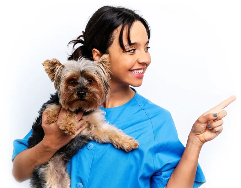 Young Vet Tech and Puppy - Welcoming and Friendly A young vet tech holding a happy puppy and pointing to the right